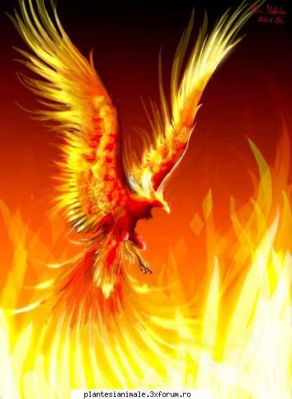 speak phoenix (uneori ph�nix) este despre care se spune că ar �nvia din propria ei legenda