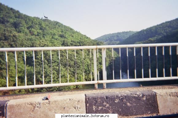 a 5 a(in poza asta e naspa ca se vede barile daca nu se vedeau se vedea peisajul mai bine) poze